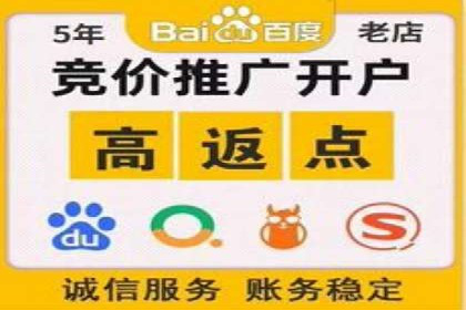 成功案例解析：SEM竞价托管的优化之路